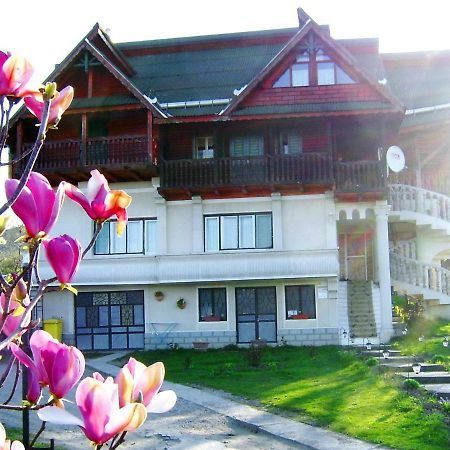 Pensiunea Amethyst Surdesti  Buitenkant foto