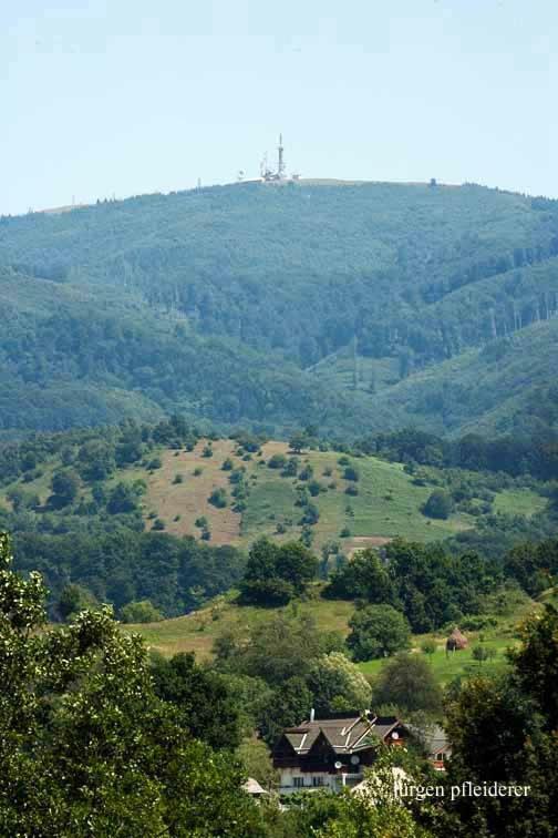 Pensiunea Amethyst Surdesti  Buitenkant foto